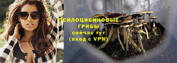 стаф Нягань
