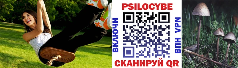Галлюциногенные грибы Psilocybe Кущёвская